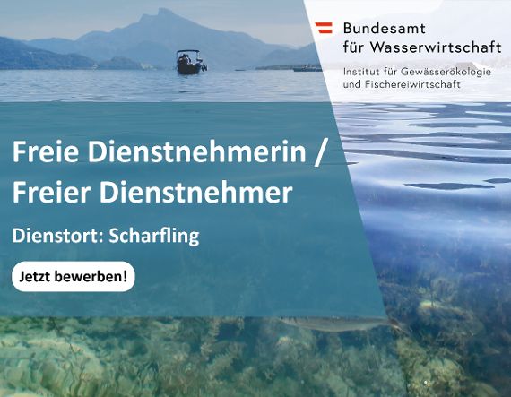 Stellenausschreibung