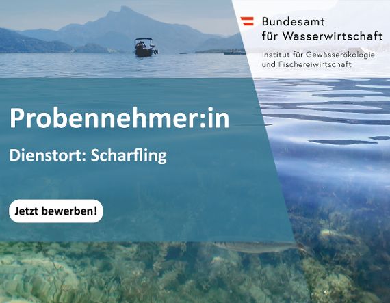 Titelbild Probennehmer:in