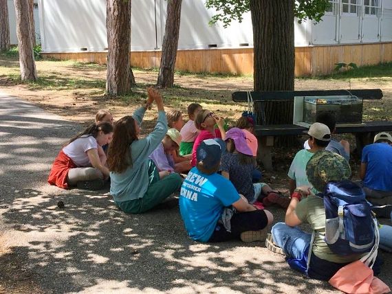 Die Kinder sitzen im Schatten unter einem Baum.
