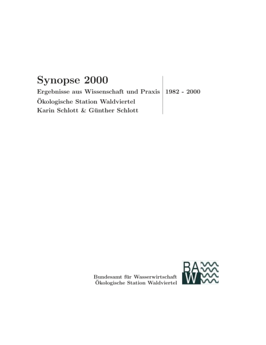Bericht: Synopse 2000