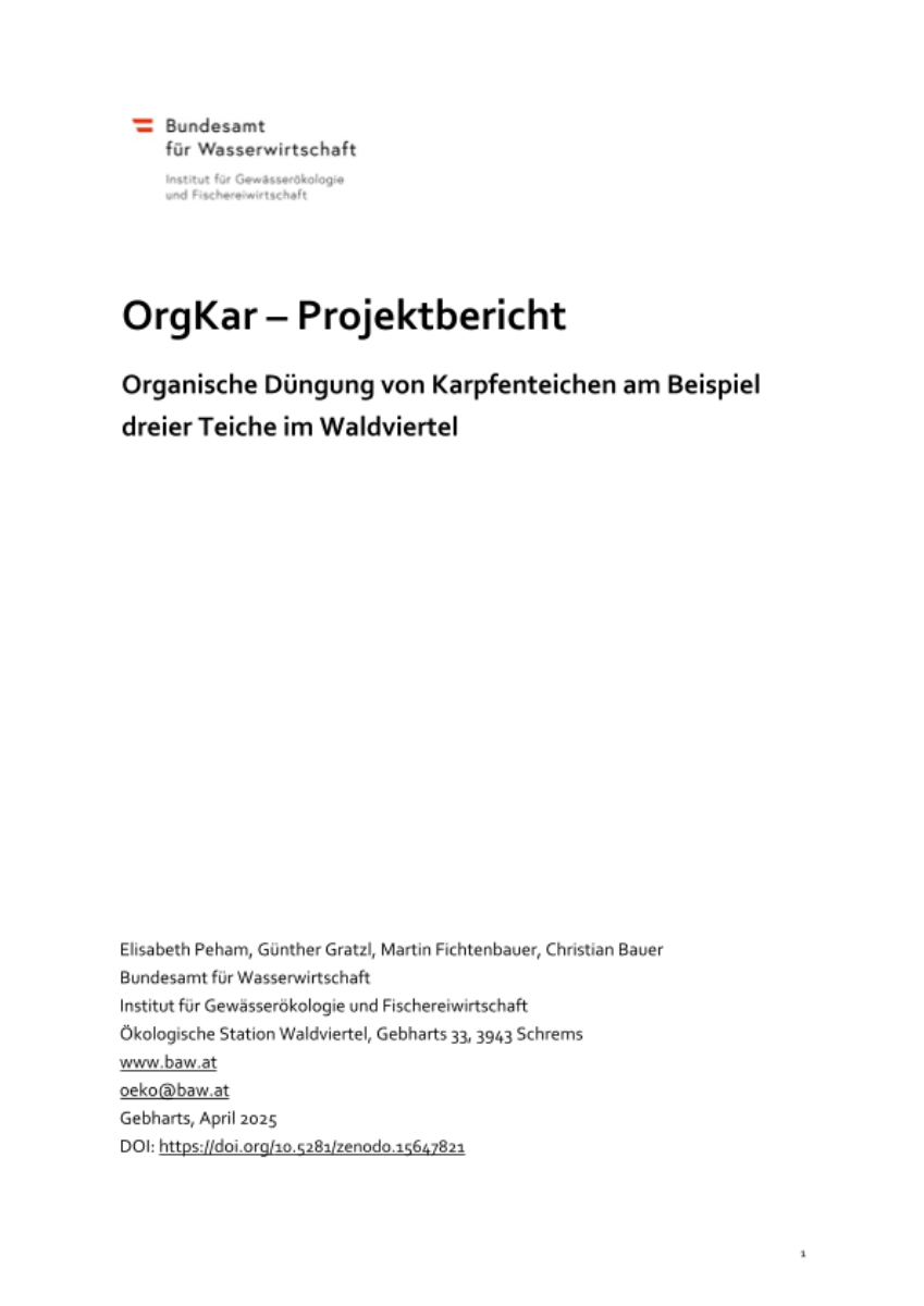Publikation OrgKar Projektbericht